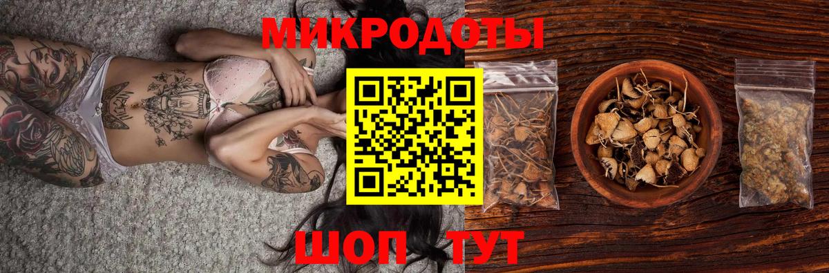 Ковров  Псилоцибиновые грибы Psilocybe  Галлюциногенные грибы GOLDEN TEACHER  Вход с VPN 